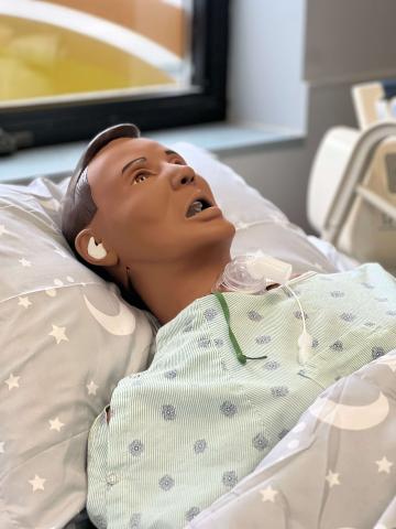 A medical doll of an adult